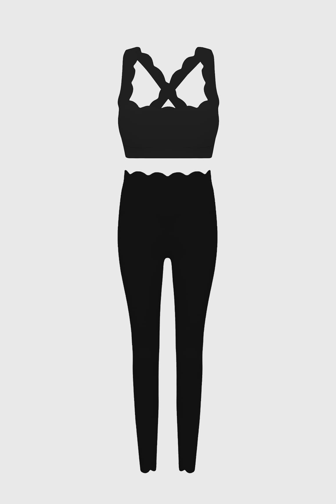 Wiskii Elegant Scallop Set